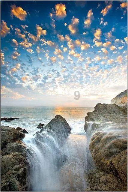 失忆的流浪者