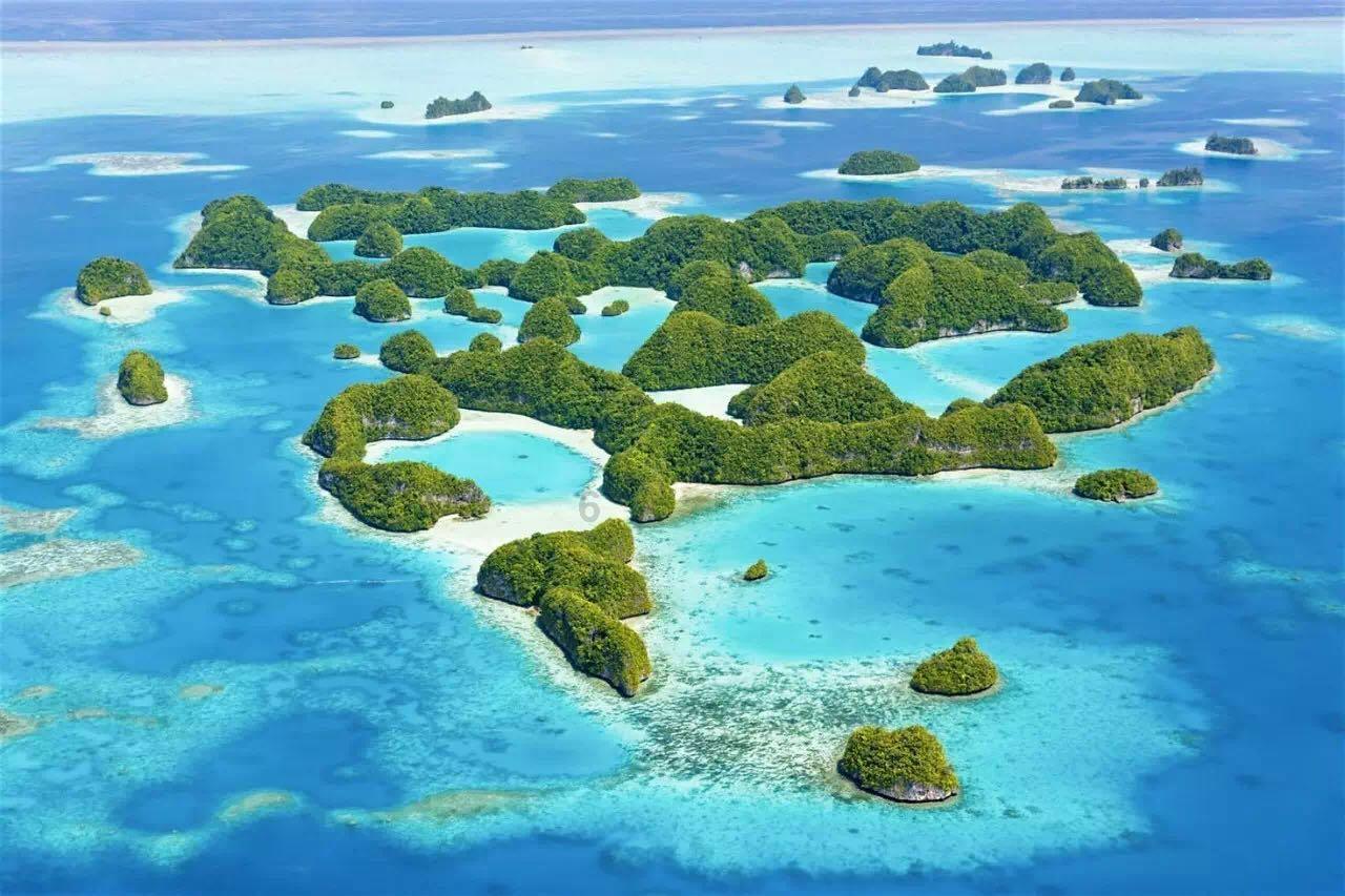 大白猫逃脱