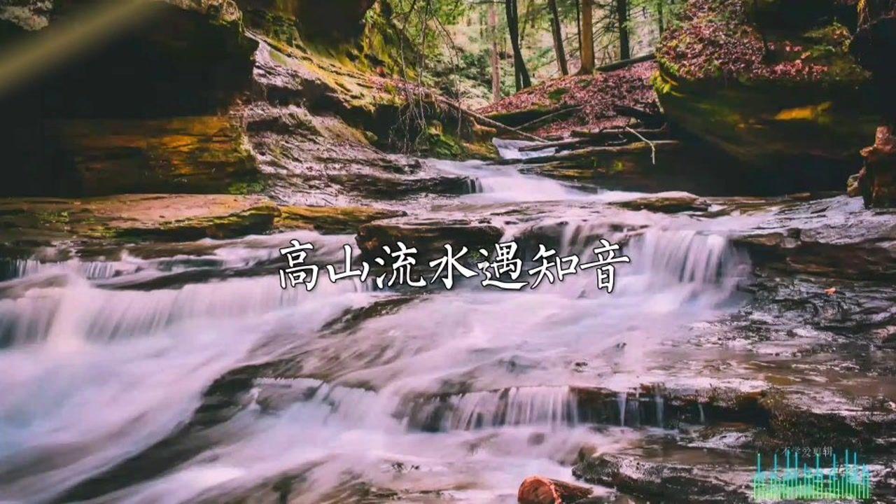 最美的校园女生66